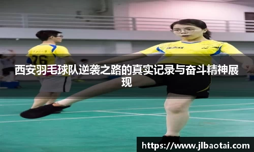 球速体育平台登录入口